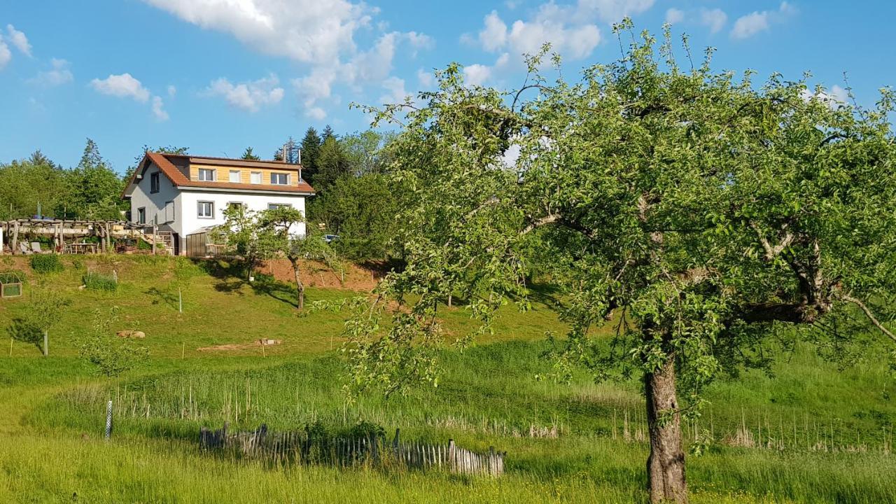 רונשאם Coeur Vert Oekologisch Mit Viel Ambiente Fuer Seelen-Wellness מראה חיצוני תמונה